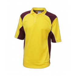 Cricket Shirt